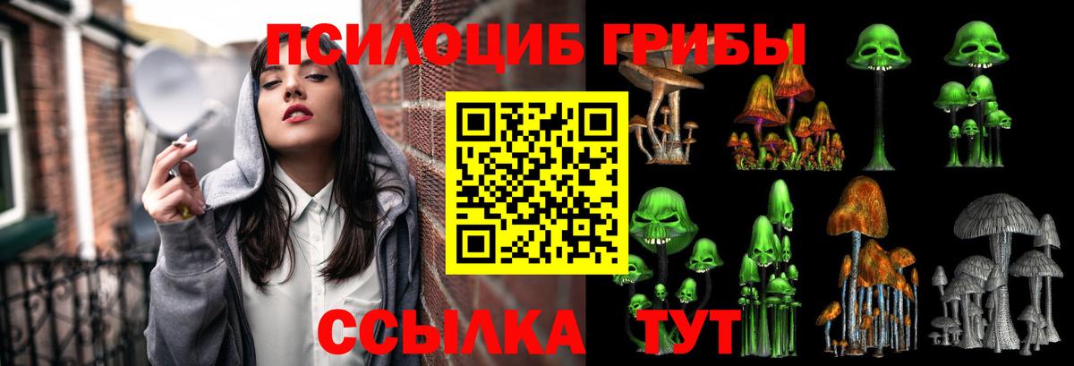 Галлюциногенные грибы Cubensis  Вход с VPN  Можайск  Галлюциногенные грибы GOLDEN TEACHER 